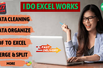 do data cleaning, organize, merge, split and pdf to excel