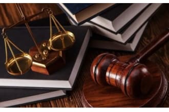 do law essays or any law assignments