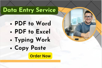 do professional data entry online,offline pdf to word, typing,excel