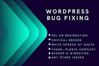 fix wordpress bugs, errors and issues