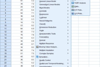 do data analysis using spss and excel