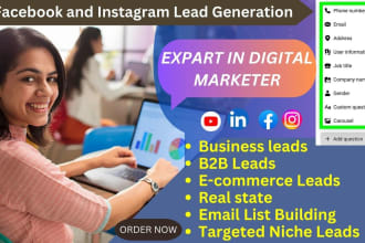 fb and ig targeted niche leads , leads generation , b2b , email list building