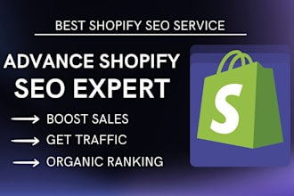 do pro shopify SEO optimization for ecommerce website