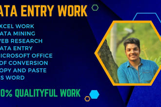 do data entry  and web research work