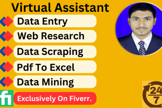 do your virtual assistant for data entry, web research, file conversion