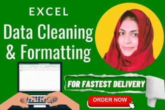 do data cleaning and formatting of your excel spreadsheet