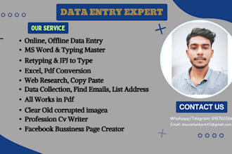 do all data entry and typing related work ms word