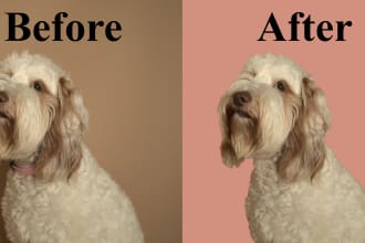 professionally remove background, hair masking