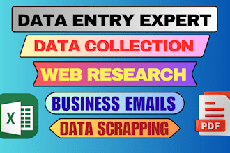 data entry, copy paste and web research