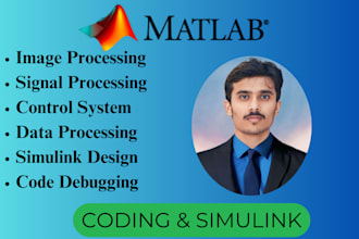 help in matlab simulink, signal and image processing tasks