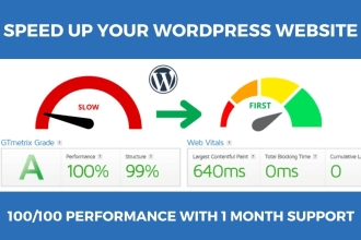 speed up wordpress website for google pagespeed insights or fix core web vitals