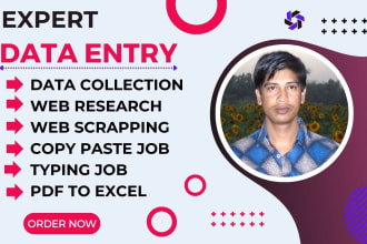 do superlative data entry, web scrapping and email collect
