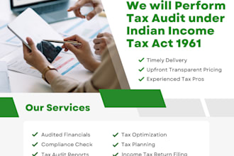 prepare and file tax audit report under indian income tax