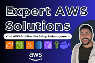 setup and manage your AWS cloud as an expert solutions architect
