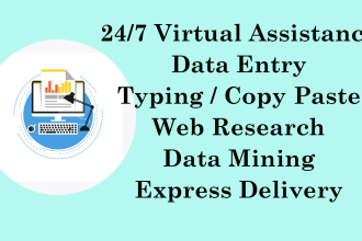 be your expert wordpress virtual assistant VA and more