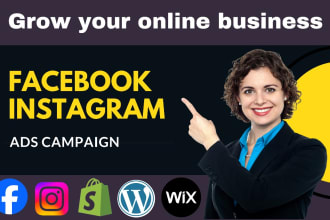 setup and manage shopify facebook ads and instagram ads campaign