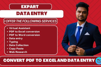 convert pdf to excel or data entry in low price