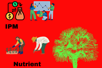 do farming systems, fertilizer formulate and guide on plant protection