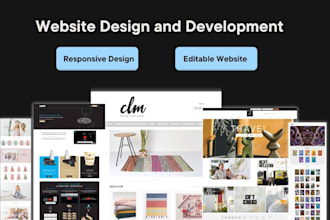 do wordpress website development and web design