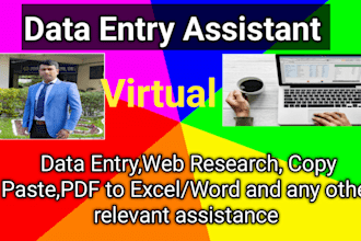 be your perfect data entry assistant