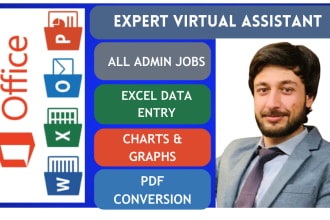 do excel data cleaning, excel data analysis and dashboards