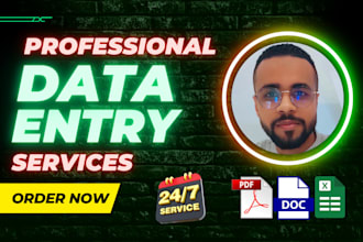 be your virtual assistant for data entry, copy paste and typing