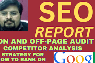 provide SEO audit report for full website