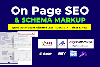 do wordpress on page SEO, schema markup, and robots txt