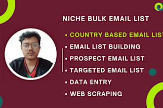 provide niche targeted bulk email list from any country