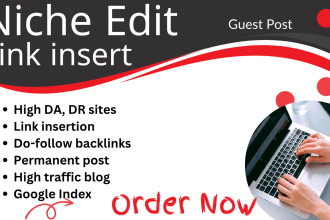 insert permanent links on 100 percent niche relevant articles