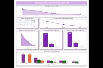 create professional custom power bi dashboards