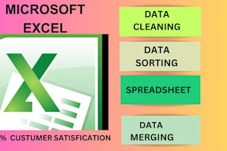 do excel data entry, cleanup, sort, merge, and formatting