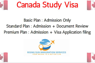 provide professional advice regarding your study visa application