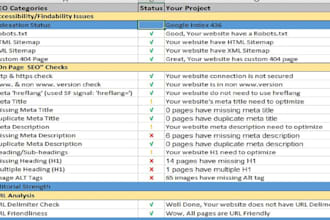 do advance website audit for your website ranking