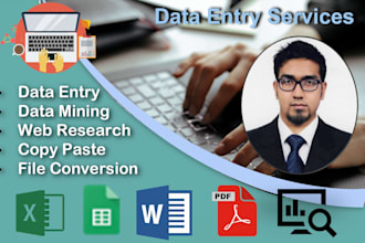 do excel data entry, convert pdf to excel, copy paste, typing and web research