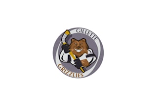 design appealing and thrilling hockey association logo