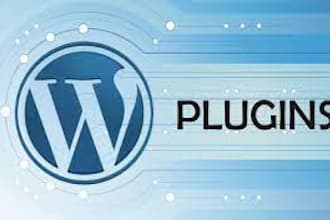 expert wordpress woocommerce plugin developer