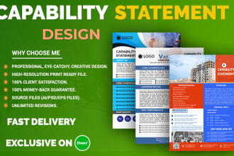 design an attractive government capability statement within 6 hours
