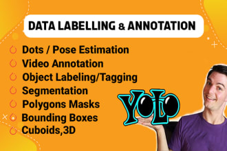 do ml image annotation,segmentation,bounding boxes, and custom data labeling