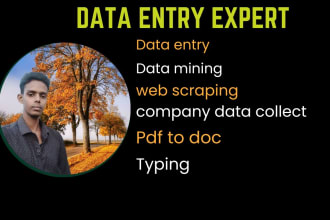 do deadly data entry, web research, data collect,pdf to doc,typing job