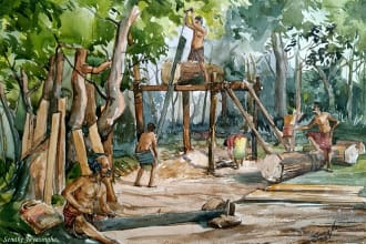 hand paint illustrations in watercolour and ink