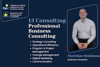 provide strategy and business optimization consulting