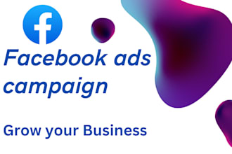 run facebook ads campaign setup and manage