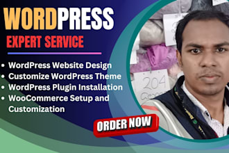 expert wordpress website design, custom wordpress theme and plugin installation