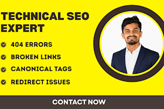 fix 404 errors, broken links, redirects and canonical issues