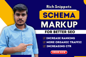 setup schema markup, rich snippet and structured data