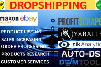 do amazon to ebay dropshipping