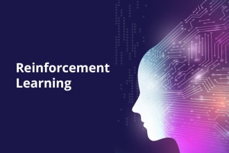do your reinforcement learning and simulation project