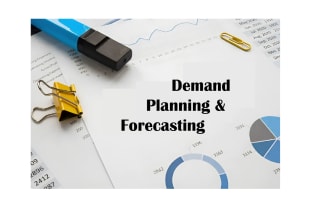 provide demand planning and forecasting services