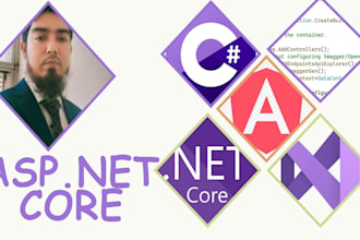 develop or upgrade aspnet core mvc or web API projects